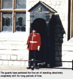 [The guards have perfected the fine art of standing absolutely completely still for long periods of time.]
