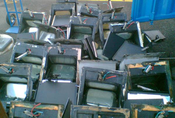 Guess what these are