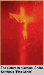[The picture in question: Andre Serrano's "Piss Christ"]