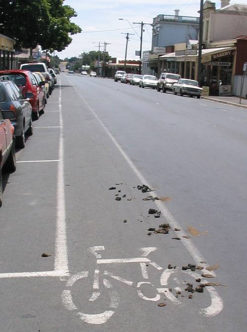 Horse shit in the bike lane