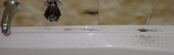 Specks in the bath